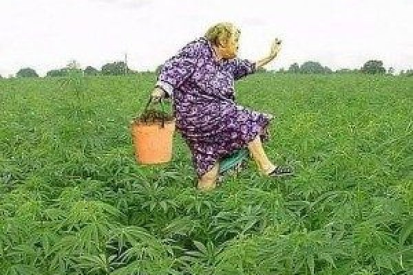 Клир ссылка на кракен 2025