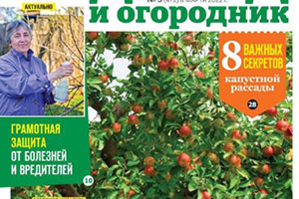 Kraken shop ссылка