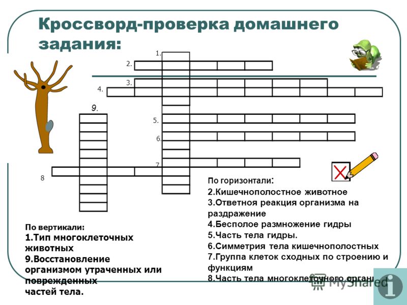 Активная ссылка на кракен
